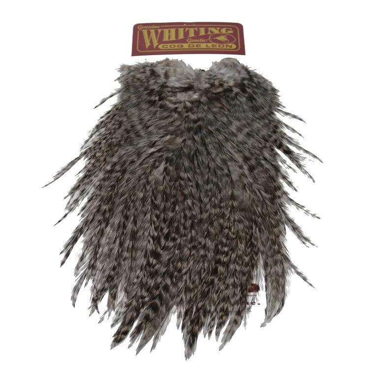 wollmars1666398